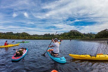 Half Day SUP and Kayak Tour in Puerto Varas La poza