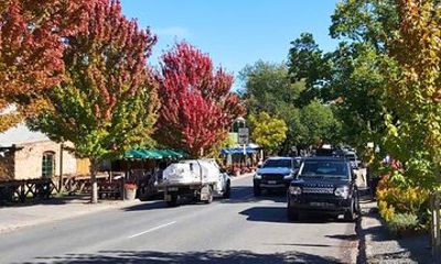 Hahndorf & Barossa & Maggie Beers (2 wineries and Lunch Included)
