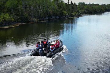 Zodiac Coastal Tour with Naturalist Guide: Lunenburg