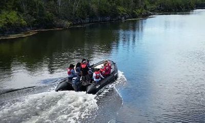 Zodiac Coastal Tour with Naturalist Guide: Lunenburg