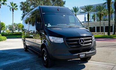 Private 14-Passenger Van Transfer to/from Port Canaveral ,one way