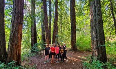 Napa Valley Redwood Hike