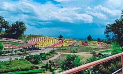 Davao Eden Nature Park Tour with snacks (6hrs)