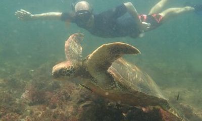 Santa Fe Island and Virgin Beach Private Tour with Lunch