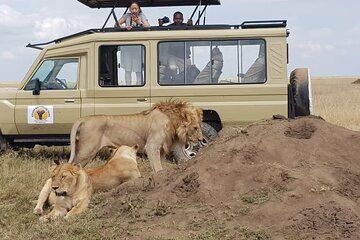 5 Days Serengeti and Ngorongoro Budget Camping Safari Tour