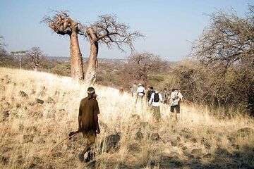 4 Days Hadza Immersion