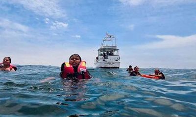 Palomino Islands Tour | Palomino Islands From Lima 2025