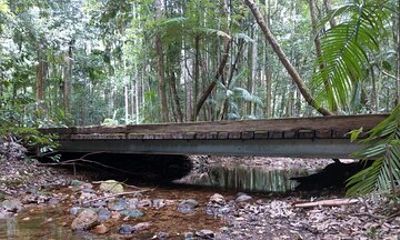 Port Macquarie Scenic Tour to the Hastings Hinterland region