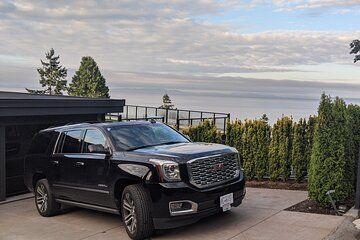 Private Transfer- San Francisco Airport (SFO) to Cruise Terminal