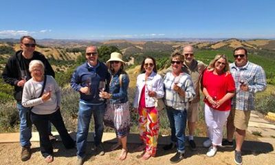 Large Group Wine Tasting Tour (For 6+ Guests • We Drive Your Car)