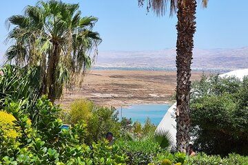 Full Day Private Tour by Car in Jericho and Dead Sea
