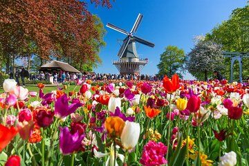 Keukenhof Day Trip from Rotterdam Cruise Terminal & City Center