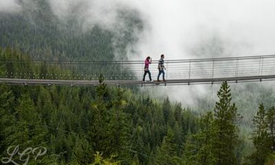 Full-Day Private Tour from Bellingham to Whistler B.C. Canada