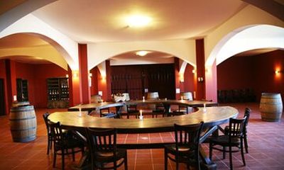 Chateau Burgozone wine tasting and enchanting Danube river view