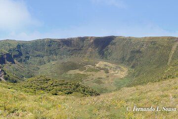 Half Day Faial Island Tour -Local Biologist