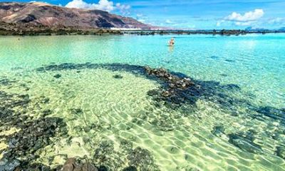 North Tour, Viewpoint, Brunch, White beach & lava pools