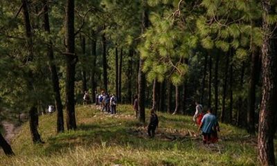 Half Day Hike to Hills and Waterfalls of Nagarkot in Nepal