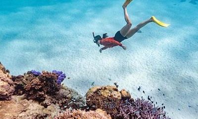 Ningaloo Reef Snorkel Adventure