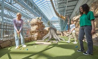 Moose Mountain Adventure Golf in Mall of America