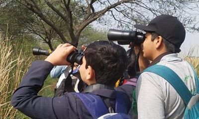 Bird Watching at Nandur Madhyameshwar Wildlife Sanctuary Nashik