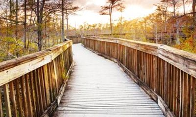 Everglades Immersion Tour: The Ultimate Everglades Adventure