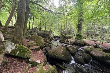 Full Day Private Tour of Mid Cornwall Mines and Gunpowder Works