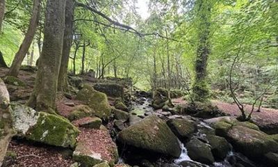 Full Day Private Tour of Mid Cornwall Mines and Gunpowder Works