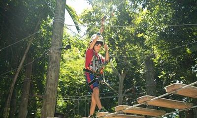Discovery Trek - 1 Hour Kids Aerial Park Adventure in Miami