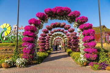 Miracle Garden & Global Village Entry with Return Transfers