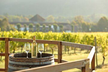 Romantic Surrey Experience with Scenic Views & Wine Tasting