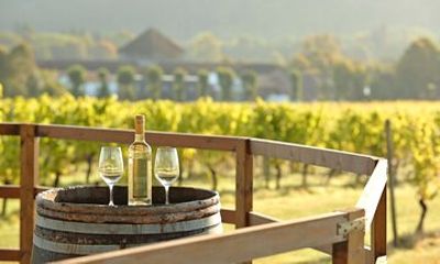 Romantic Surrey Experience with Scenic Views & Wine Tasting