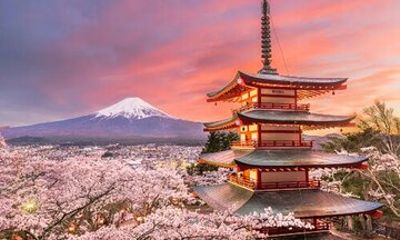 Full Day Private Tour To Mount Fuji Assisted By English Chauffeur