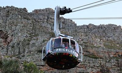 Cape Town: Cape of Good Hope, Table Mountain & Wine Tasting Tour