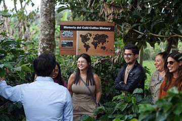 Coffee Plantation Shared Tour by Locals