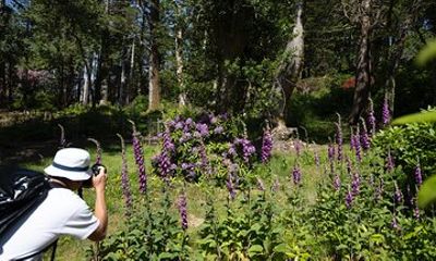 4 Hr Private Photography Tour from Kenmare – All Skill Levels