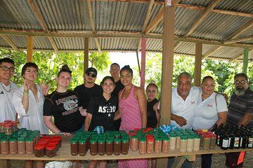 5 Tours of Jungle and Dominican Culture with Lunch