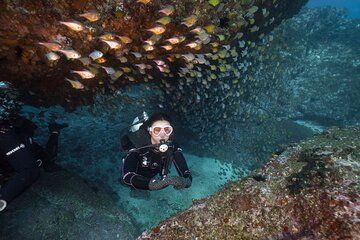 Double Dive to South Solitary Island Coffs Harbour