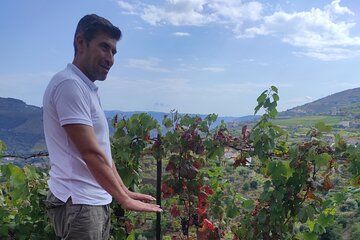 Vinho Verde 2 Wineries + Cultural Guimarães - Private/from Porto