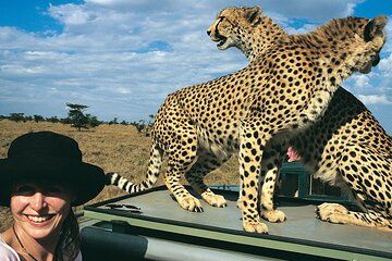 7Days Aberdares, Samburu, Lake Nakuru & Masai Mara Private Safari