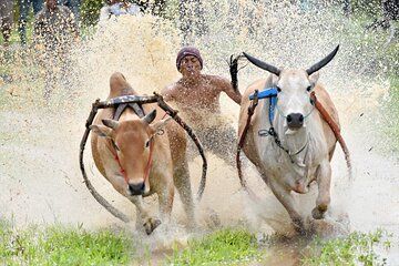 West Sumatra Private Tour from Padang By Private Car