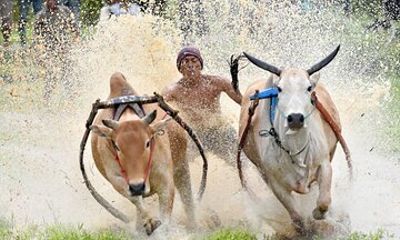 West Sumatra Private Tour from Padang By Private Car