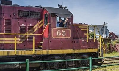 Skunk Train: Wolf Tree Turn from Willits