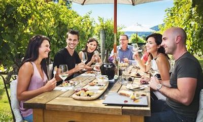 Gourmet Gold Wine Tour: Indulge in Cloudy Bay's finest wines