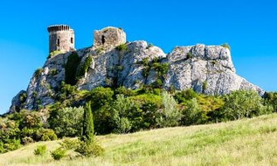 Full-Day Private Chateauneuf du Pape Wine Tour from Avignon