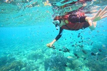 Nha Trang Snorkeling: Mun Island & Coral Reefs