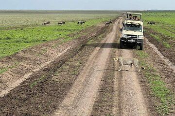 5-Day Tanzania Safari Holidays