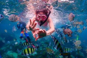 Nemo Island Full Day Tour by Speedboat with Snorkeling Experience