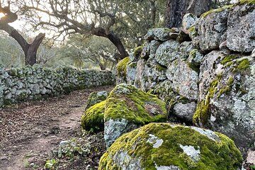 Nature walks in Marvão