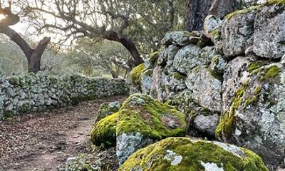 Nature walks in Marvão