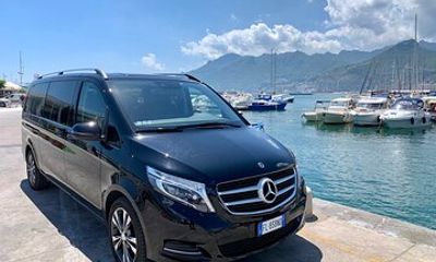Private Transfer from Paestum Archaeological Park to Salerno